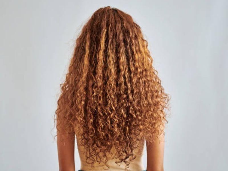 Untitled design (41)